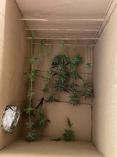 Growreport Bild 3
