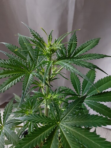 Growreport Bild 160