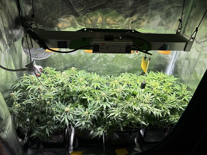 Growreport Bild 1