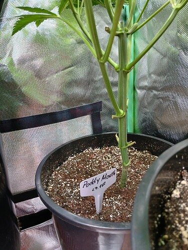 Growreport Bild 6
