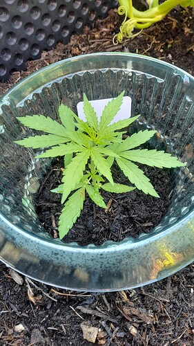 Growreport Bild 18