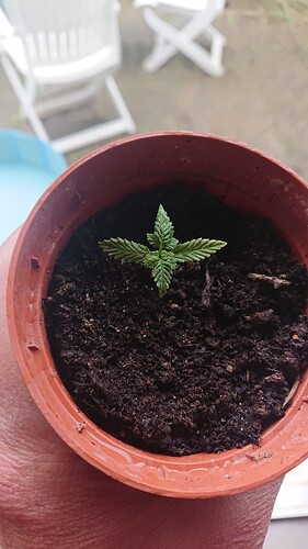 Growreport Bild 29