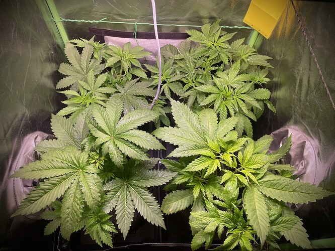 Growreport Bild 10
