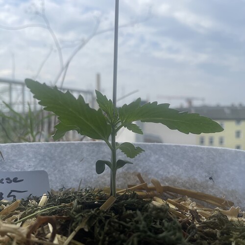 Growreport Bild 13