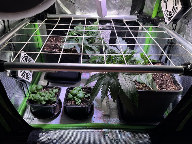 Growreport Bild 8