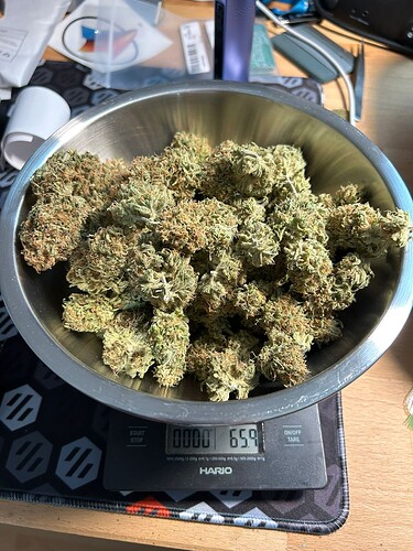 Growreport Bild 10