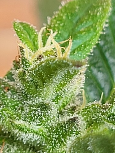 Growreport Bild 17