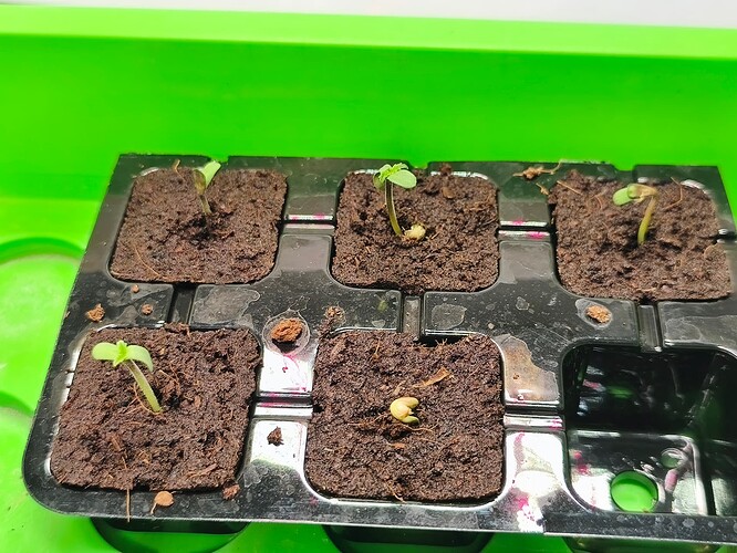 Growreport Bild 10