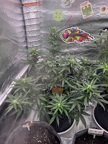 Growreport Bild 23
