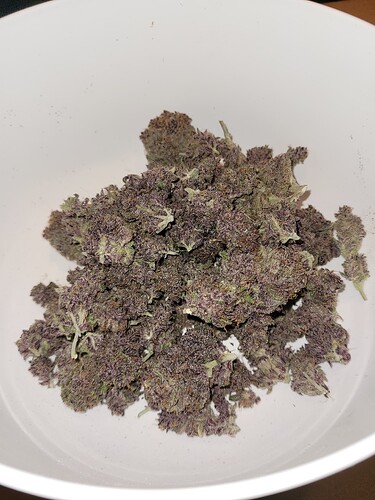Growreport Bild 7