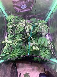 WhatsApp Bild 2024-12-10 um 16.18.18_8ef3a9fb