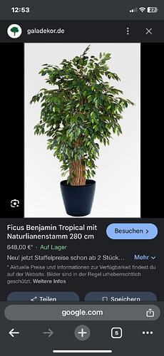 Growreport Bild 46