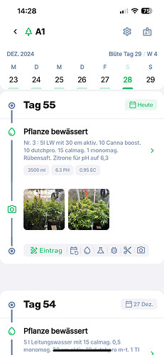 Growreport Bild 7