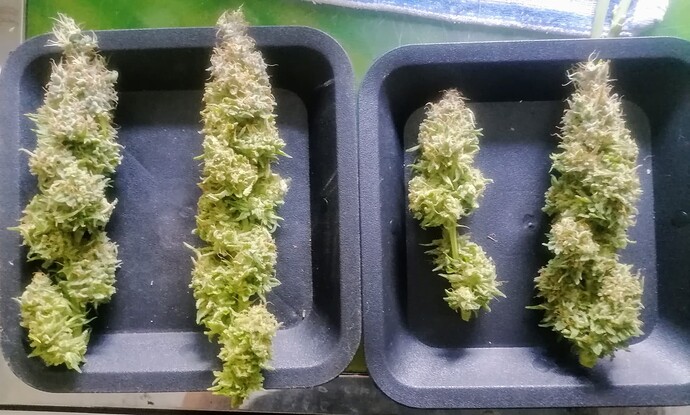 Growreport Bild 18