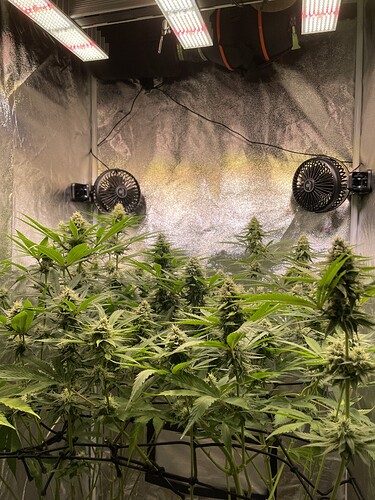 Growreport Bild 10