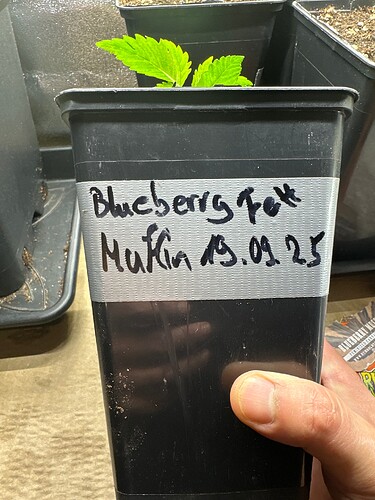 Growreport Bild 18