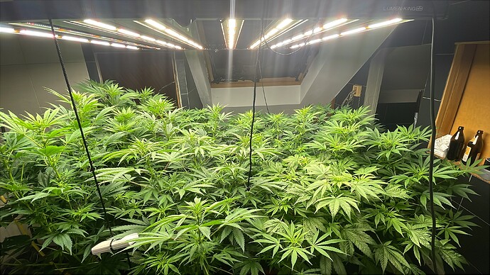 Growreport Bild 13