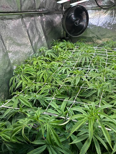 Growreport Bild 9