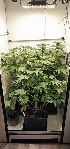 Growreport Bild 9