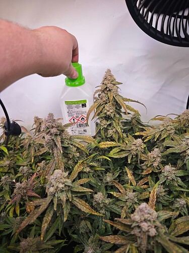 MVIMG_20251125_181347