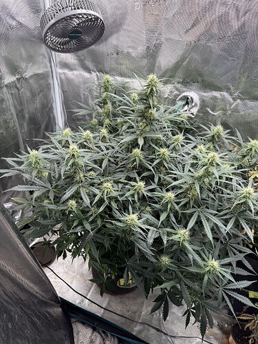 Growreport Bild 10
