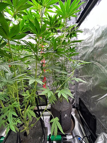 Growreport Bild 3