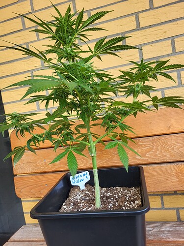 Growreport Bild 9