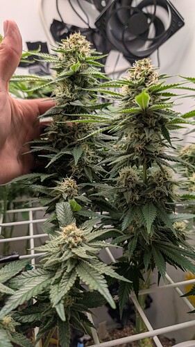 Growreport Bild 10