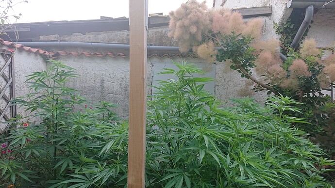 Growreport Bild 12