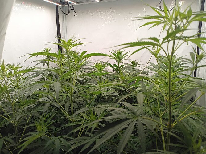 Growreport Bild 13