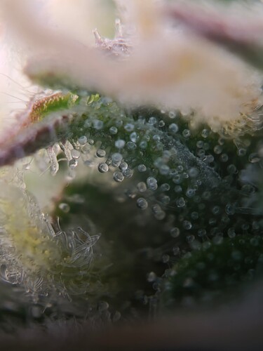 MVIMG_20251114_160151