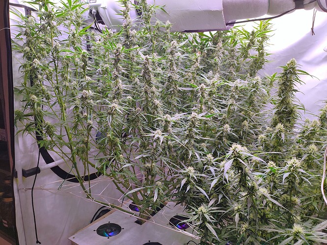 Growreport Bild 14