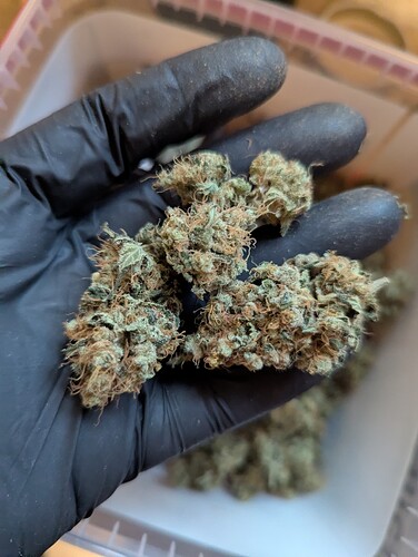 PXL_20250903_164017552.MP