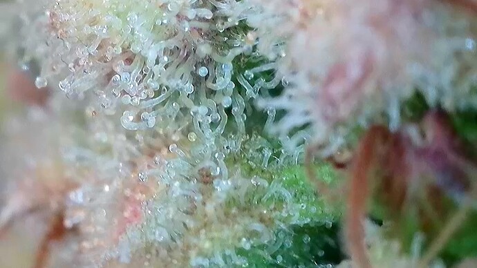 2025-06-15-15-02-43-372