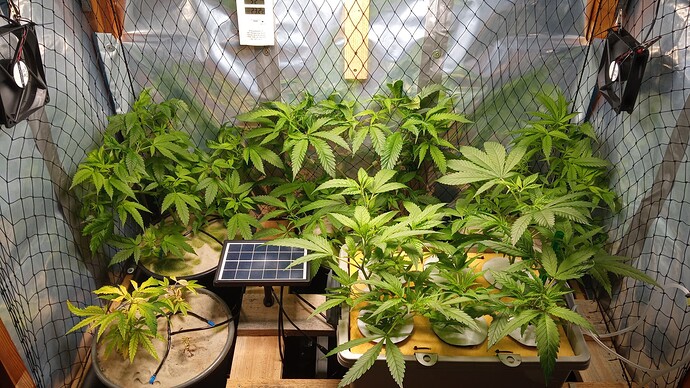 Growreport Bild 2
