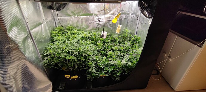 Growreport Bild 1