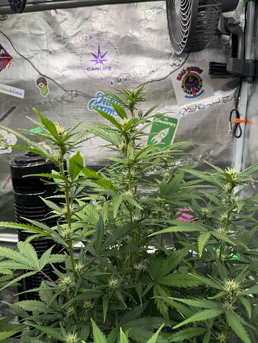 Growreport Bild 13