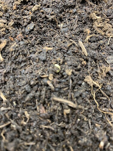 Growreport Bild 9