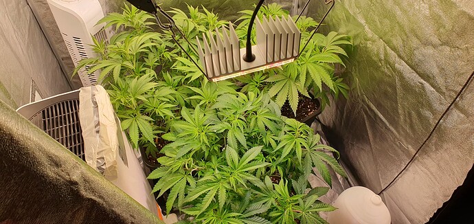 Growreport Bild 2