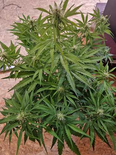 WhatsApp Bild 2024-05-12 um 17.38.48_e10f655b