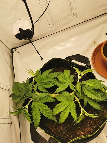 Growreport Bild 2