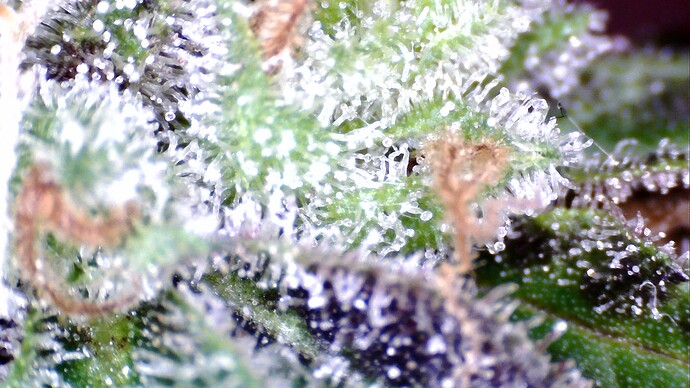 WIN_20241101_08_56_32_Pro