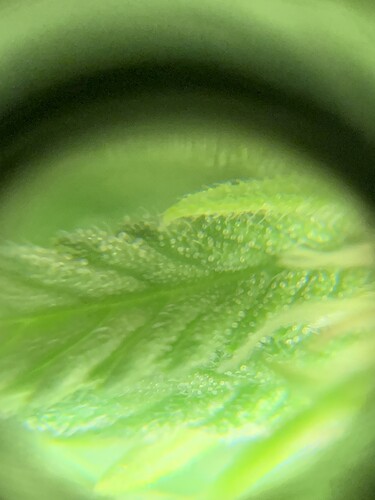 Growreport Bild 9
