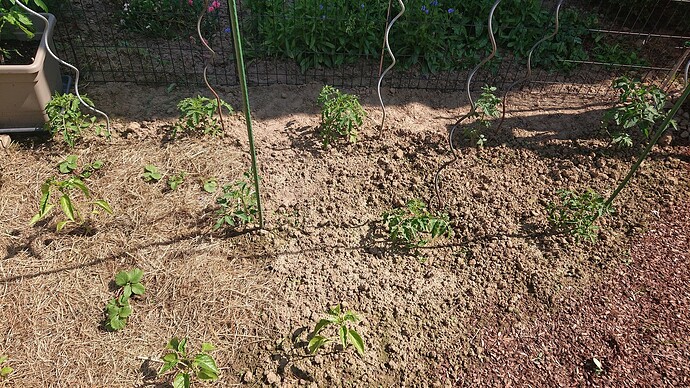 Growreport Bild 35