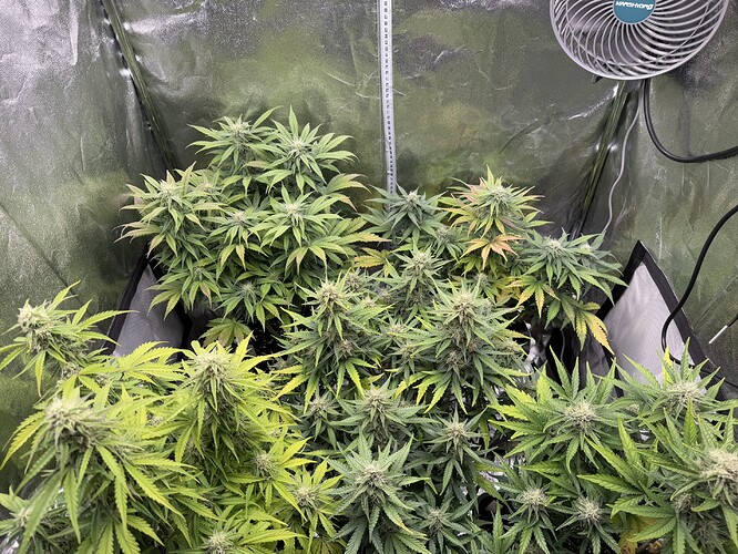 Growreport Bild 16