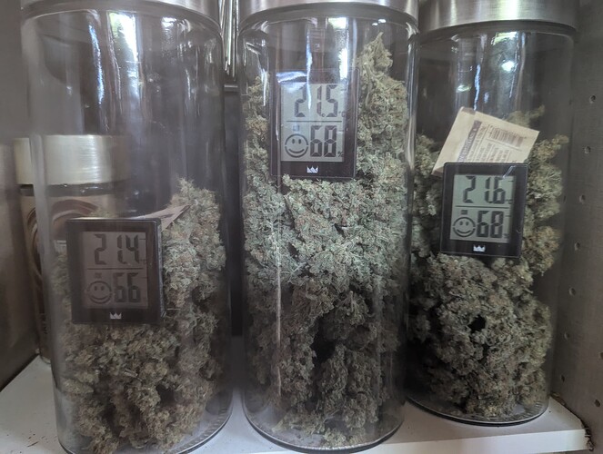 PXL_20250905_144445111