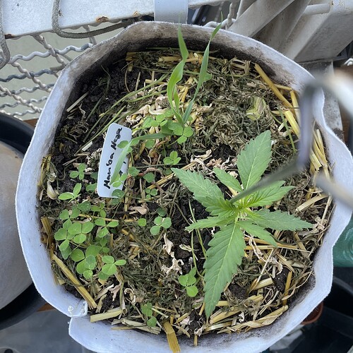 Growreport Bild 20