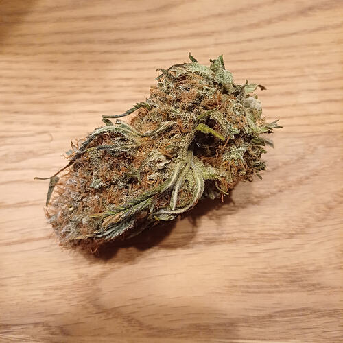 Growreport Bild 2