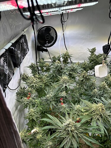 Growreport Bild 38