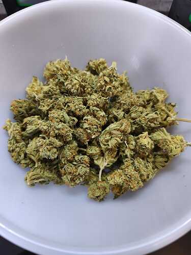 Growreport Bild 10